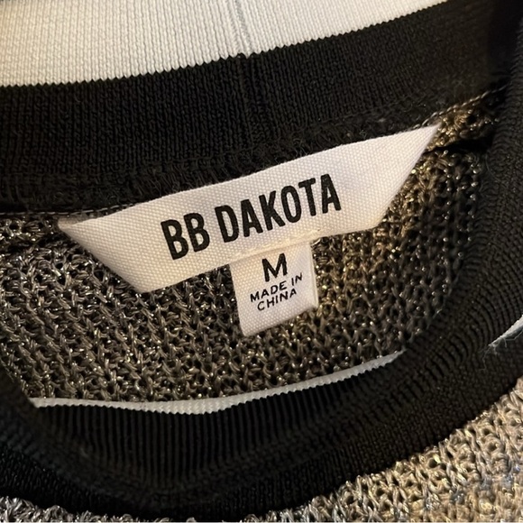 BB Dakota for Anthropologie Metallic Lurex Knit Varsity Tank Top | Silver | M - Picture 13 of 16